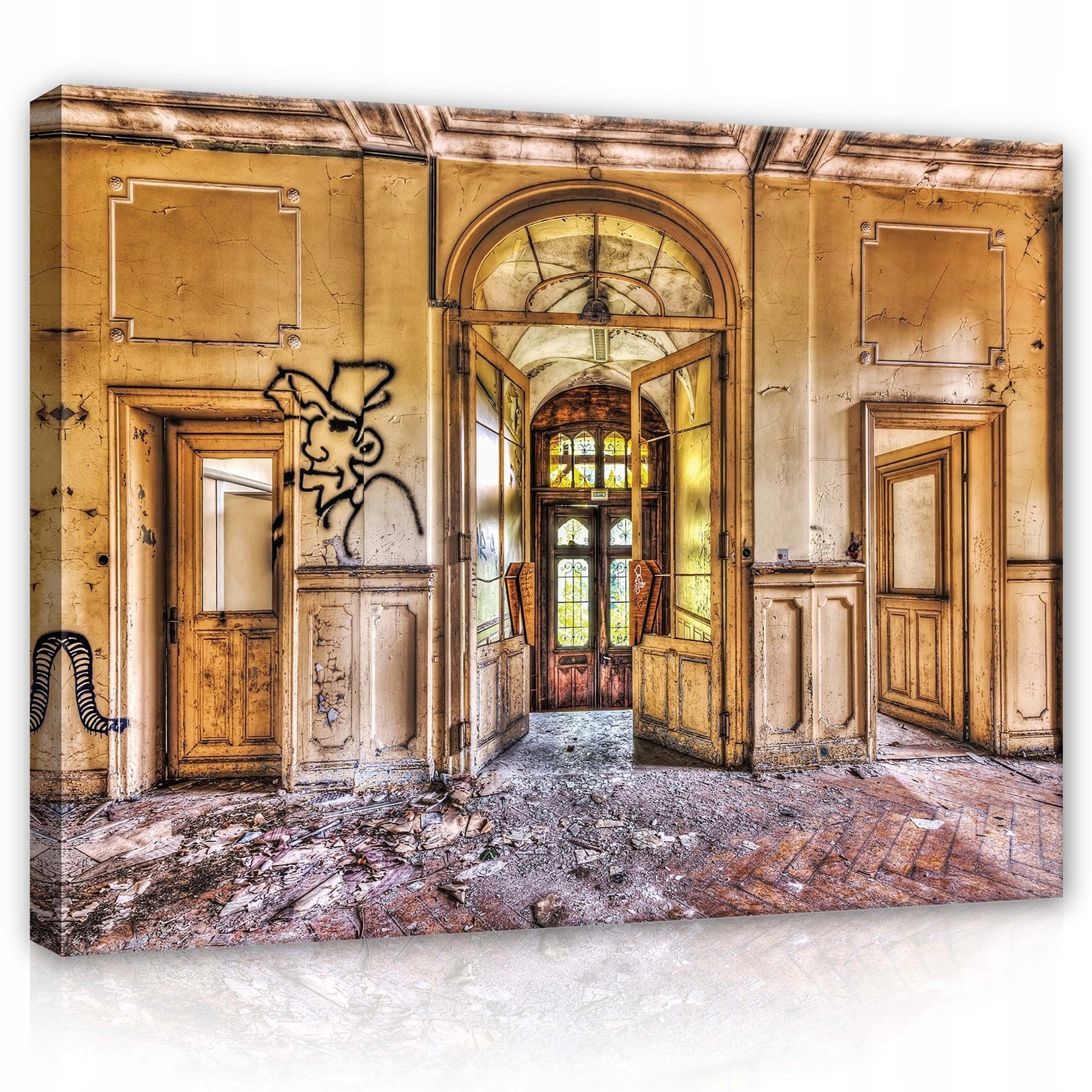 Obraz 80x60 Zanedbání opuštění stáří ruiny dveří graffiti