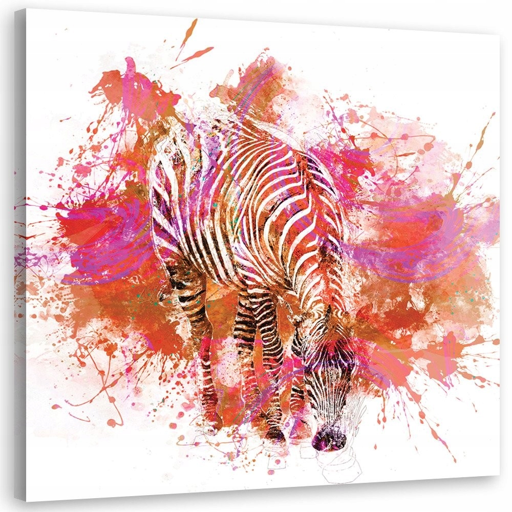 Obraz namalovaný barevně zebra A Haase 30x30