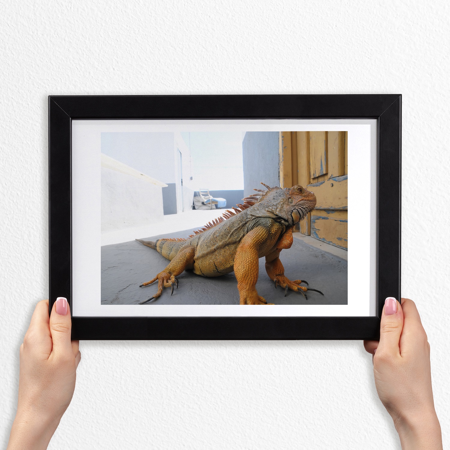 Fotoobraz s rámečkem do obývacího pokoje dekor Iguana 30x20