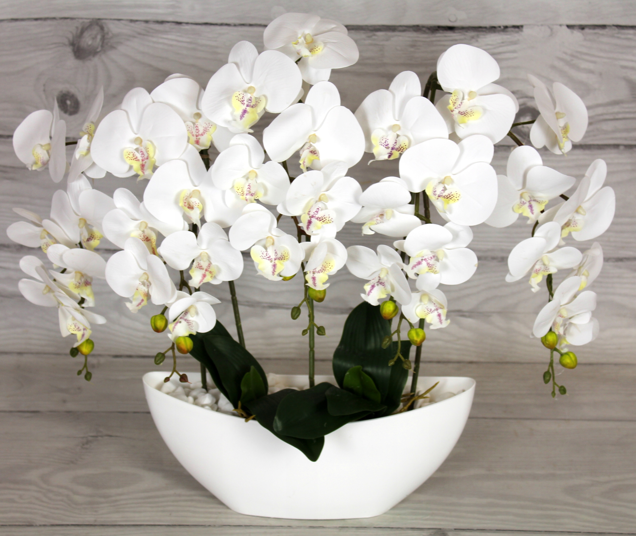 STORCZYK SZTUCZNY ORCHIDEA SILIKONOWY 5 PĘDÓW DUŻY Marka inna