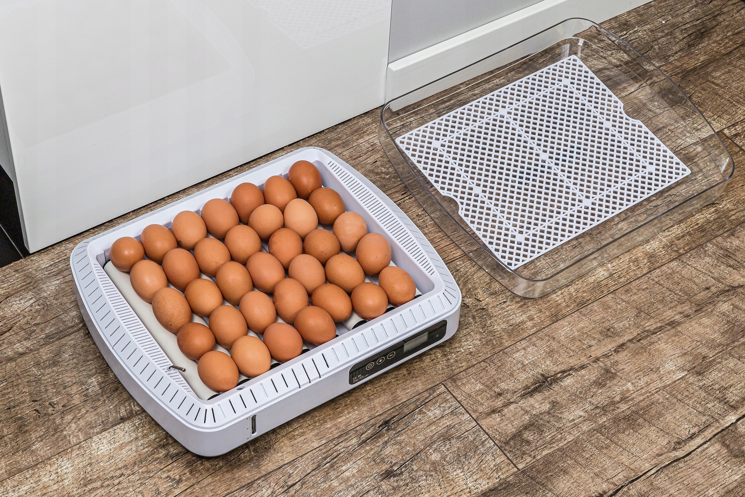 Inkubator Automatyczny do wylęgu 35 jaj Wylęgarka Klujnik do wylęgu Drobiu Kod producenta 5905858684356