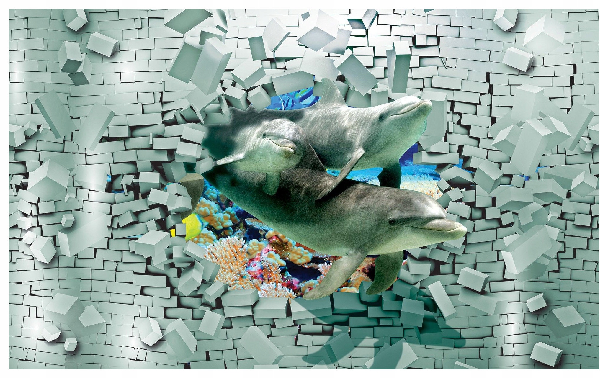 Fototapeta Koralové delfíny 3D vinylové útesy 312x219 lepidlo