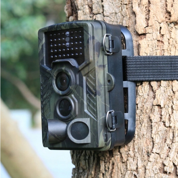 Fotopułapka leśna Tophunt HC-800A kamera do obserwacji dzikich zwierząt PL Zasięg widoczności w nocy 25 m