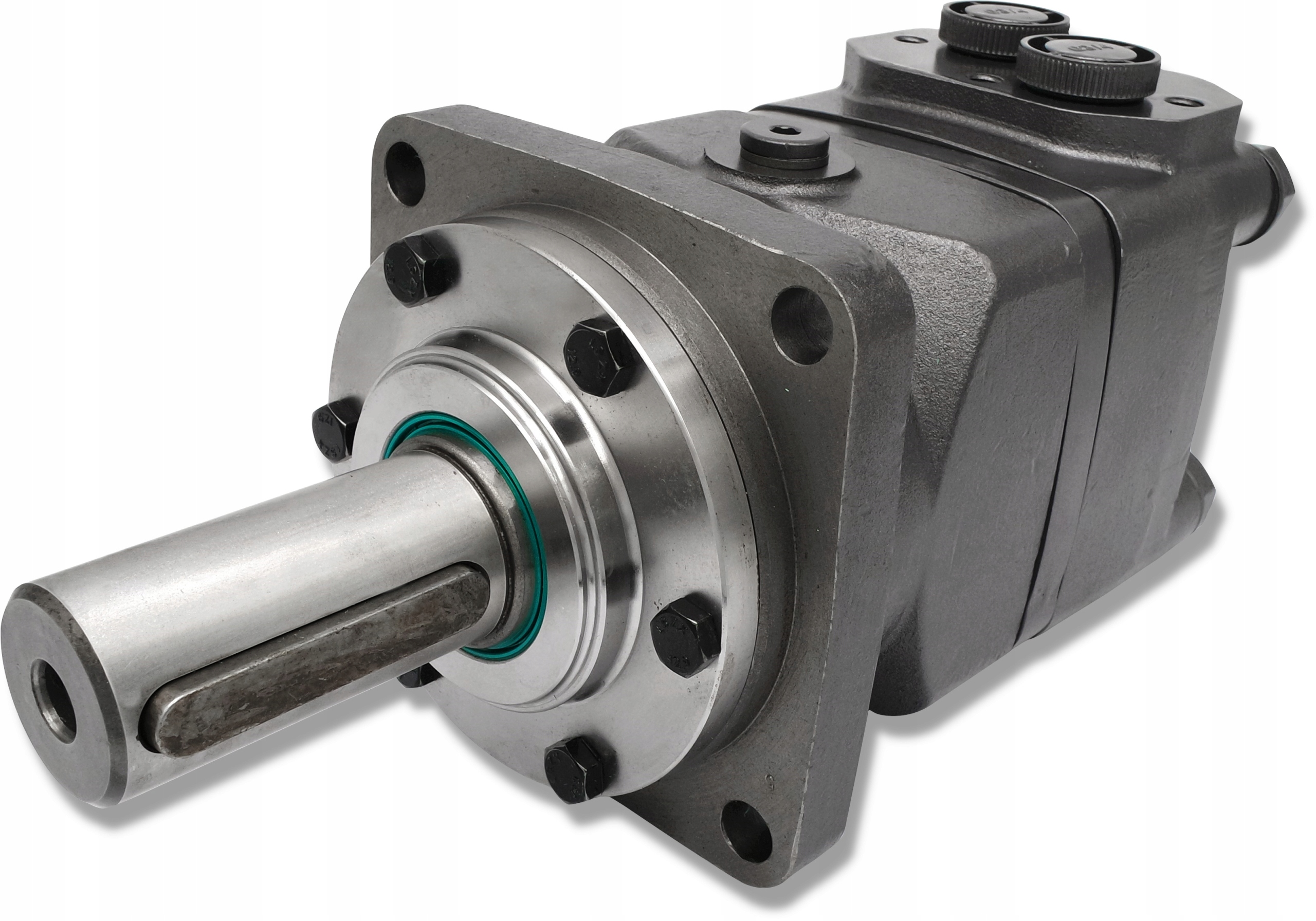 SILNIK HYDRAULICZNY BM6 250 cm3 GR4