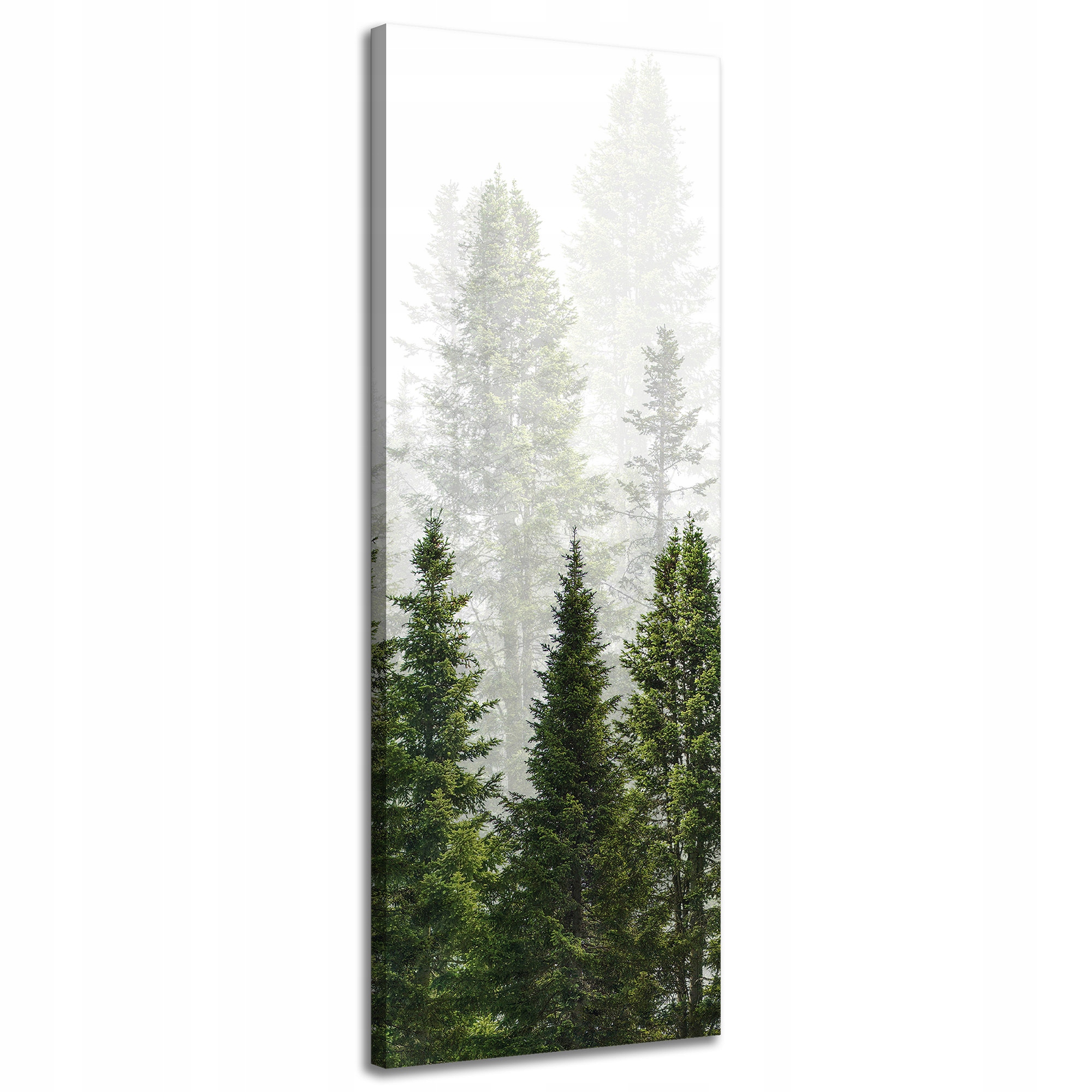 Obraz na plátně Dešťový les Příroda Stromy 40x120 cm