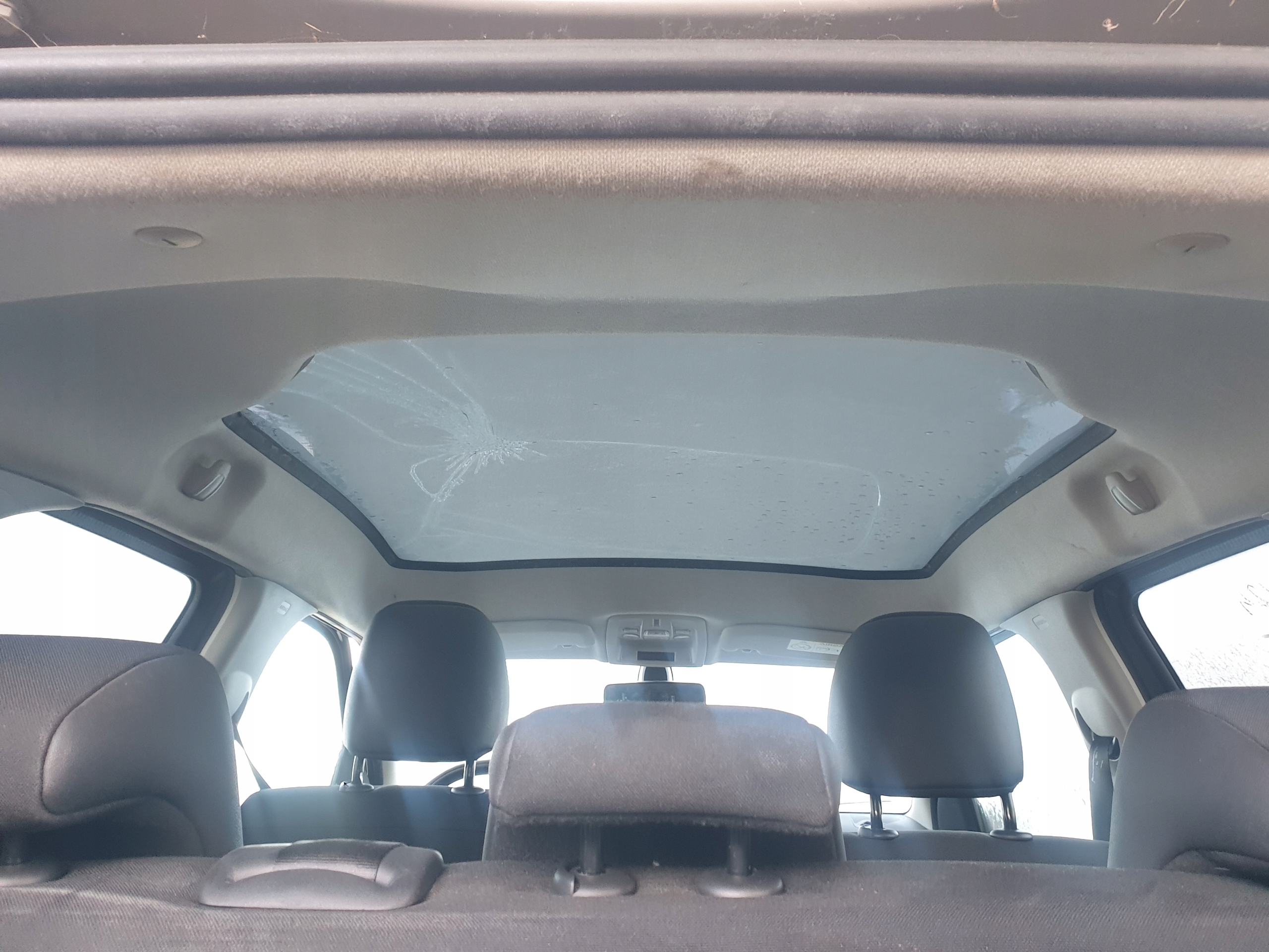 Sitze Citroen C4 Cactus societka Gurten komplet