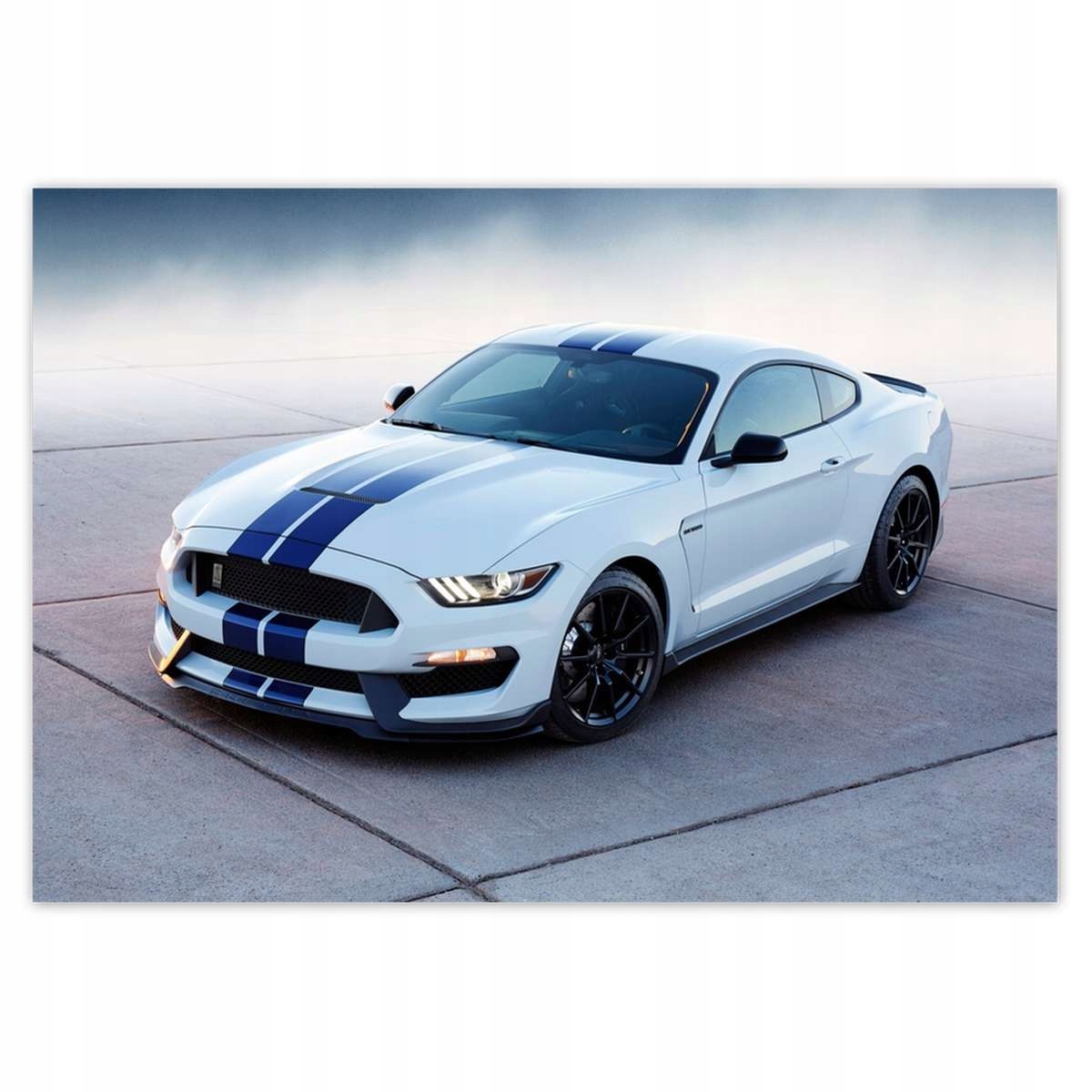 Fototapety 416x290 Ford Mustang Shelby