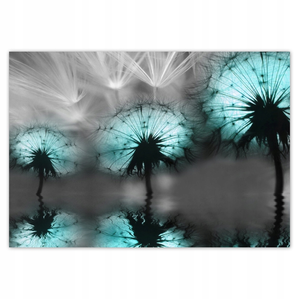 

Fototapety flizelina 416x290 Turkusowe dmuchawce