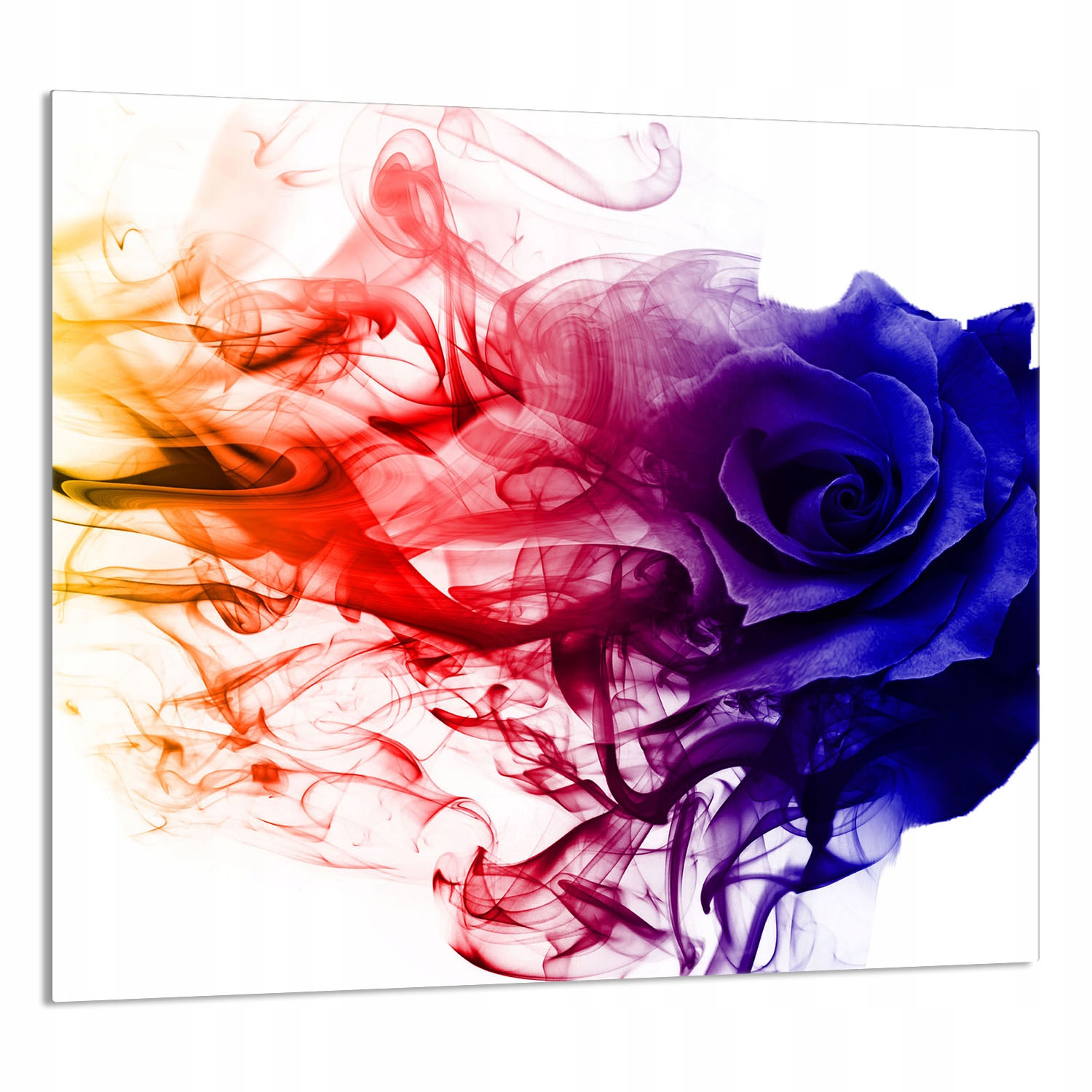 Skleněný Panel Do Kuchyně 65x60 Růže Tvrzené Sklo