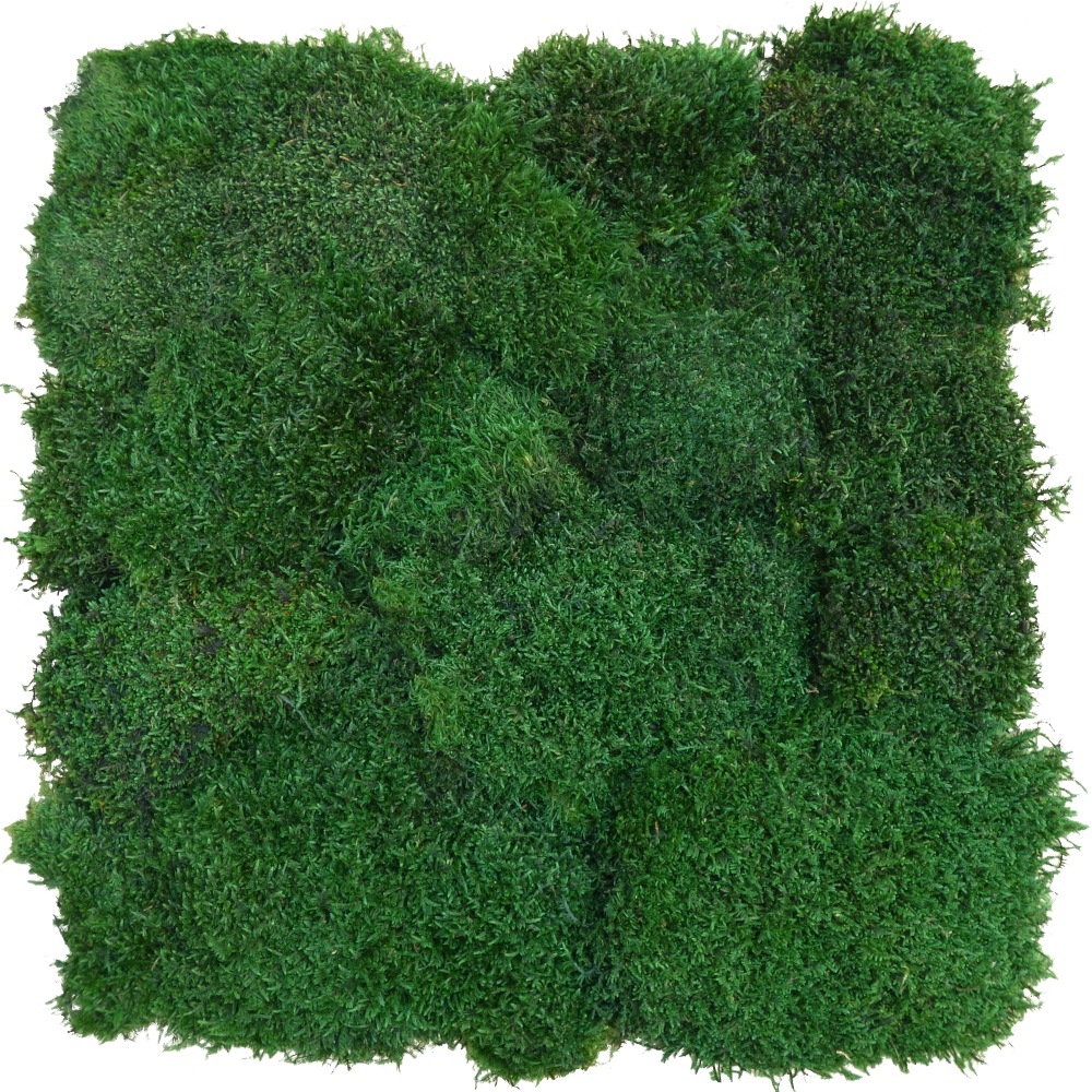 Panel z plochého mechu Premium Natural Green 50x50 cm