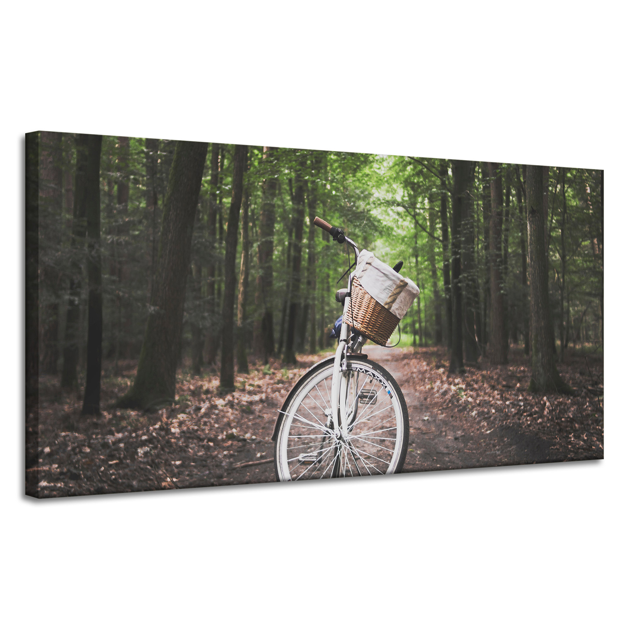 Obraz na plátně Pro Mládež kolo v lese 120x60