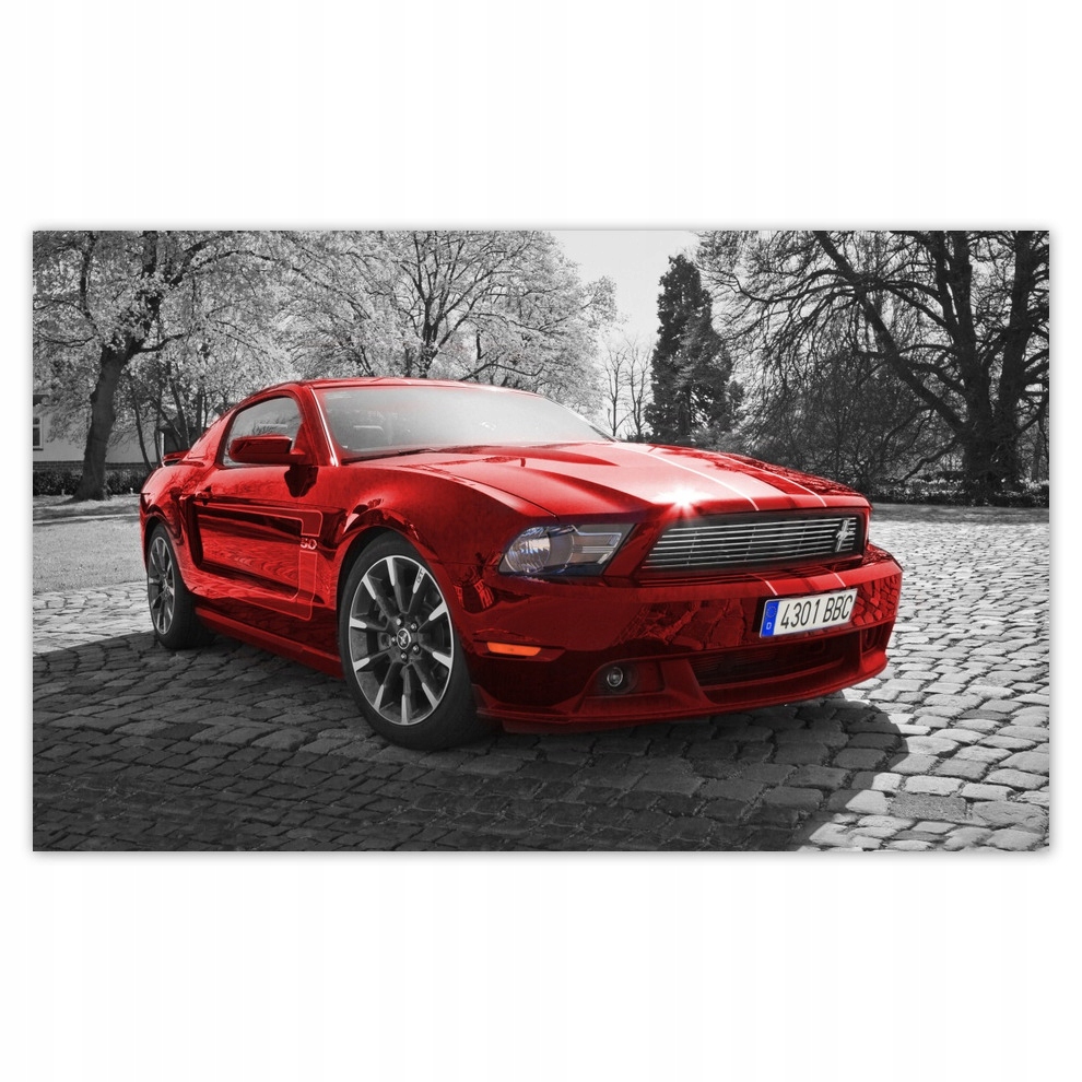 

Fototapety flizelina 520x318 Czerwony Ford Mustang