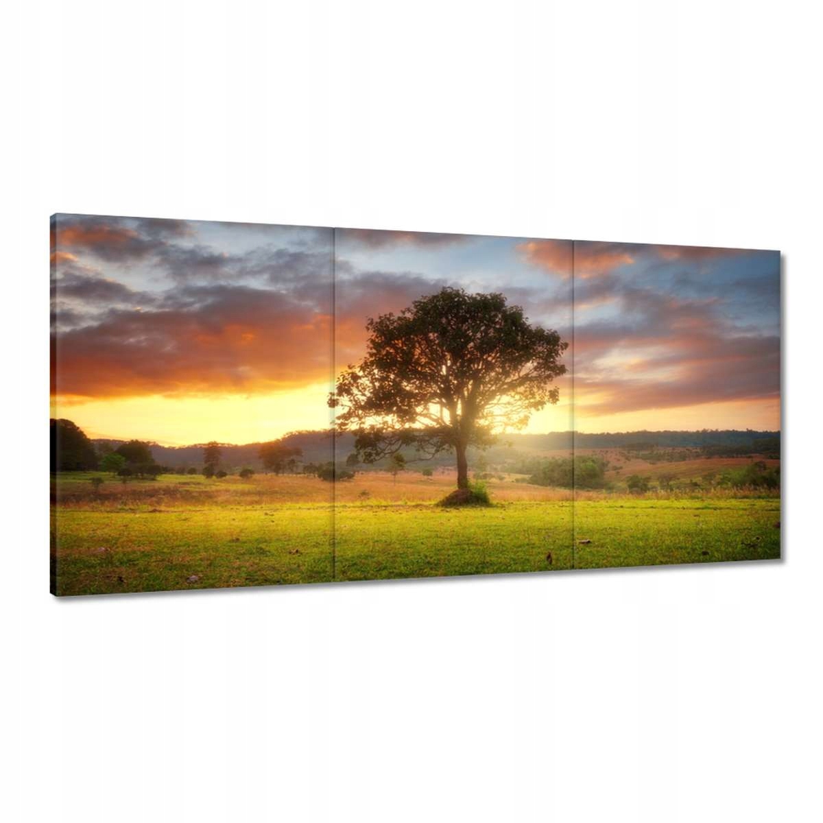 Obrazy 180x90 Magická krajina