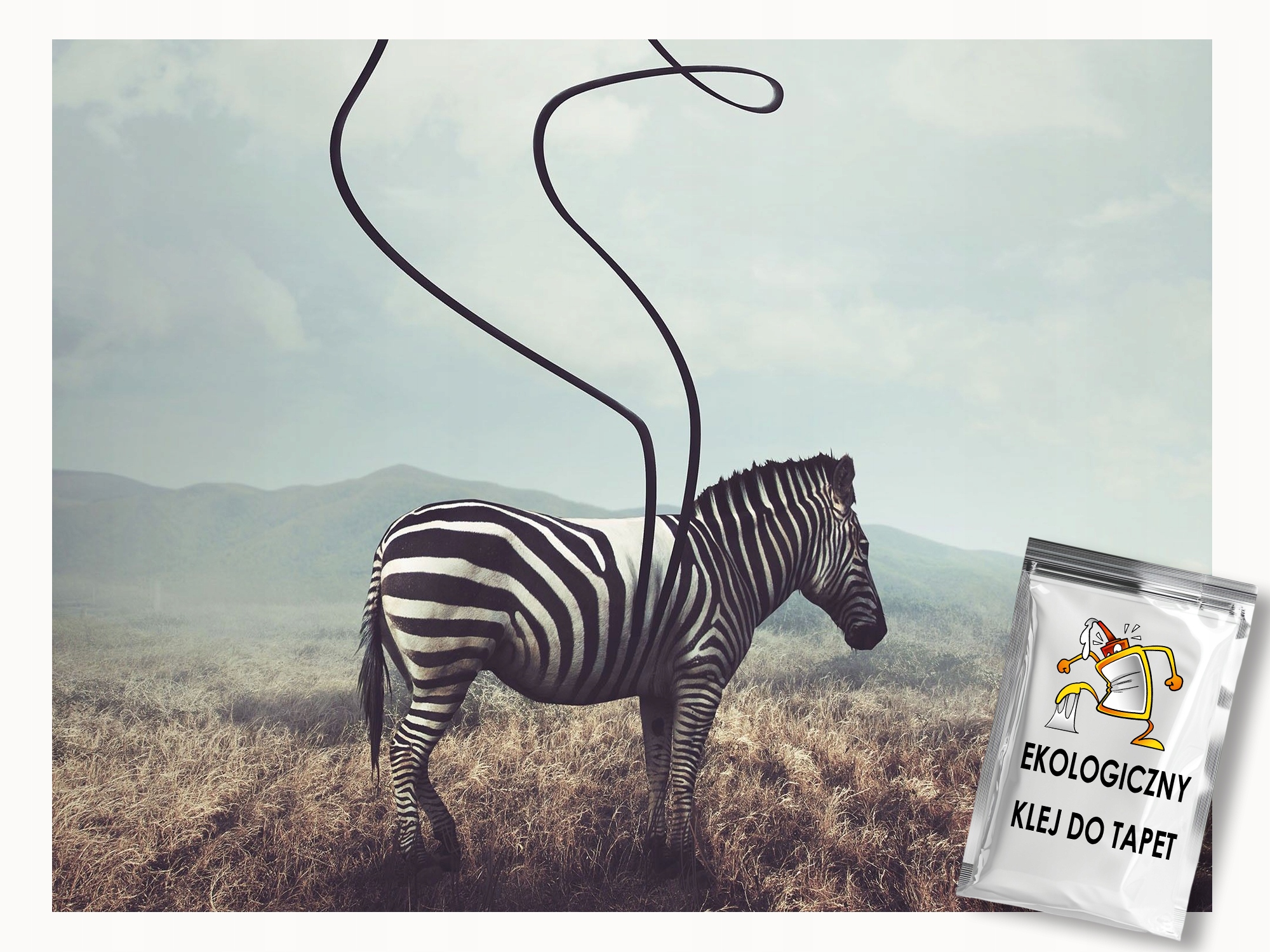 Fototapeta Flizelina Zvířata Zebra Fotografie Krajina 350x250 lepidlo