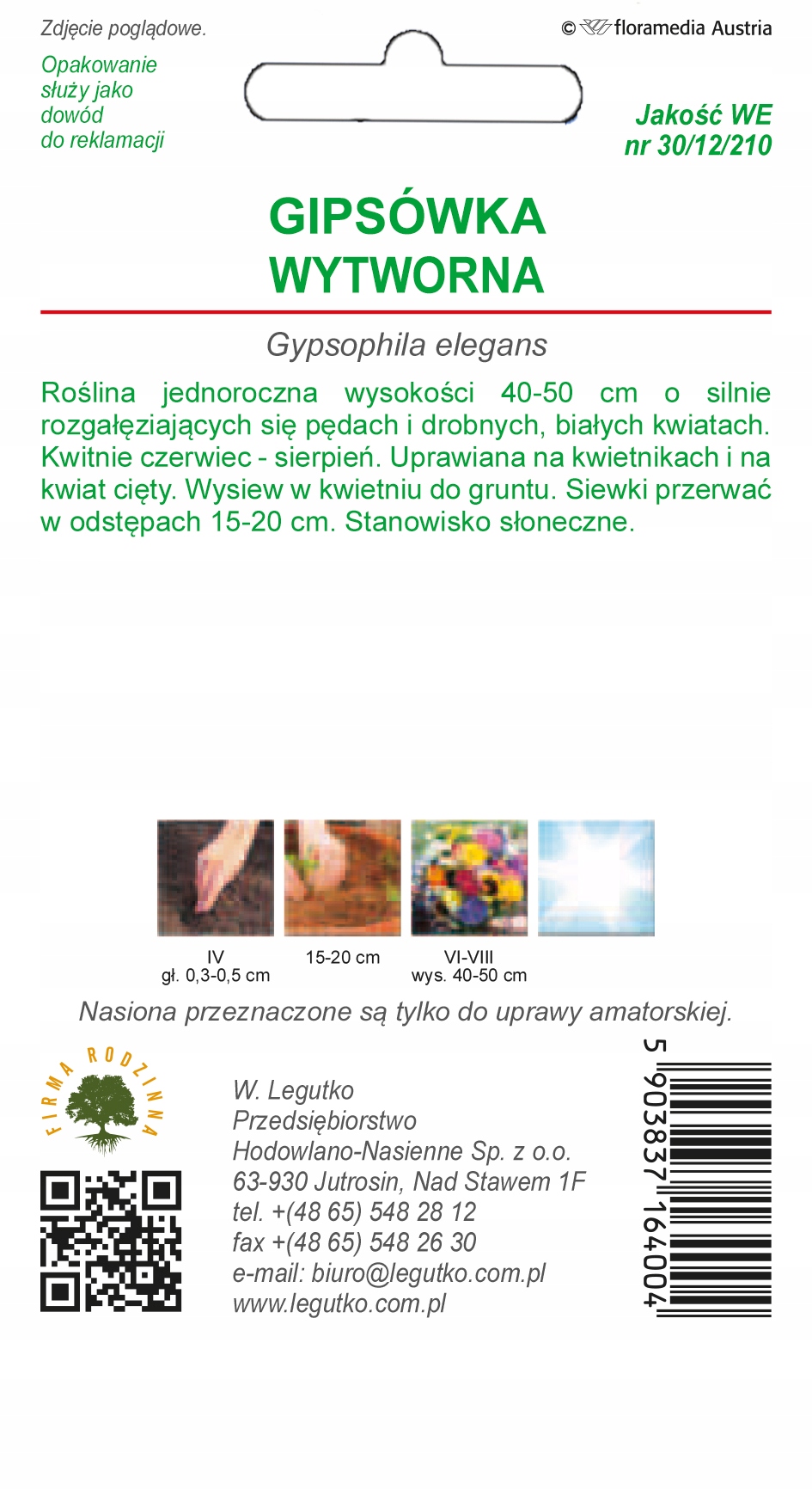 Nasiona Gipsówka wytworna biała, 1g — 3