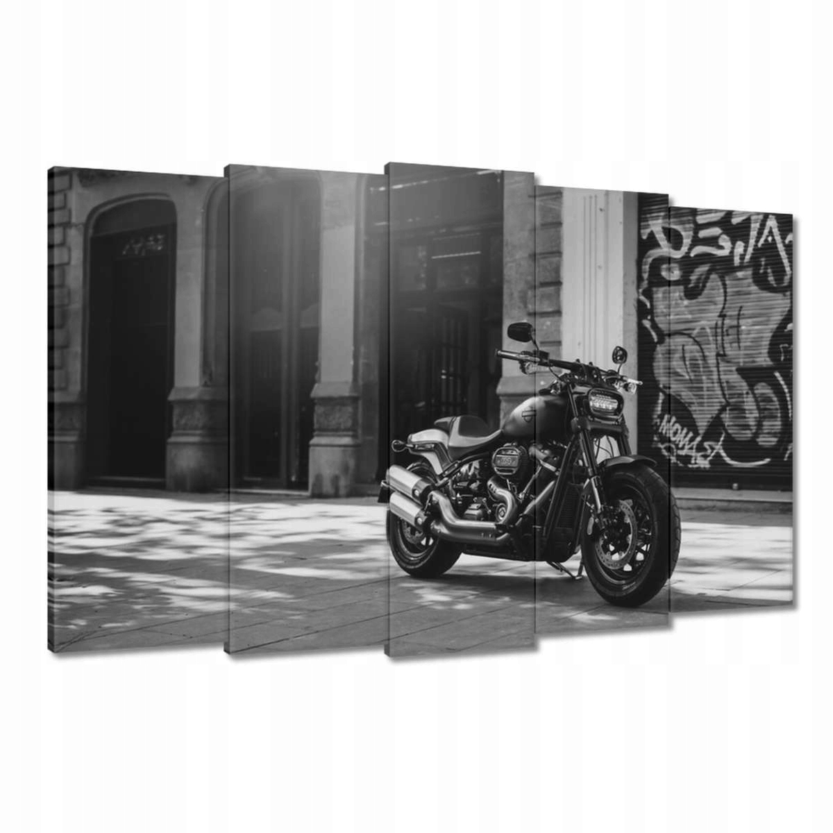 Obrazy 150x95 Harley Davidson Motocykl