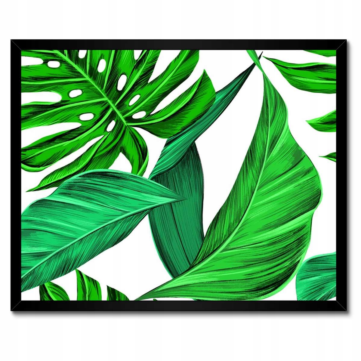 Plakáty v rámu 50x40 Šťavnatá Monstera Tropiki