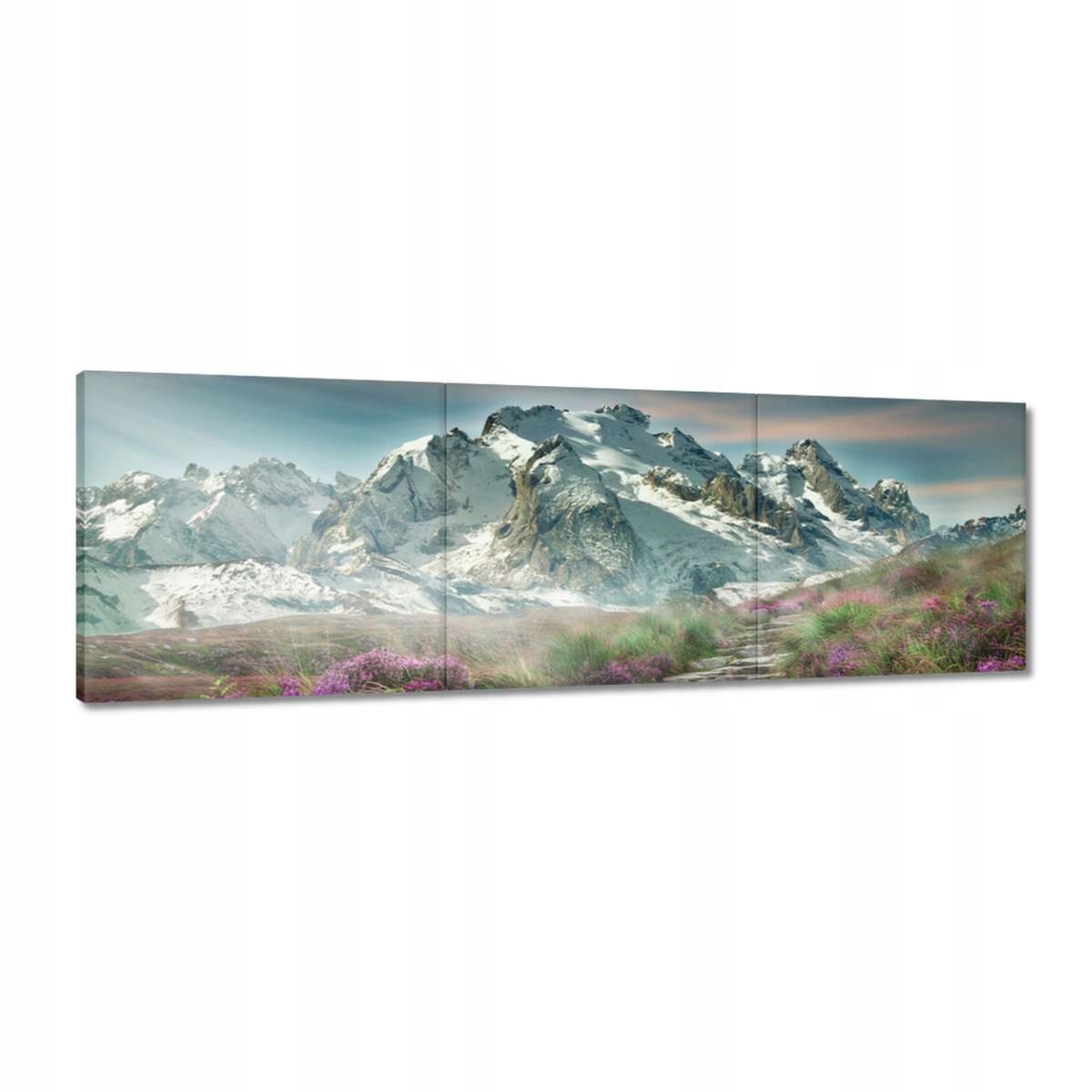 Obrazy 120x40 Horská krajina Krajina