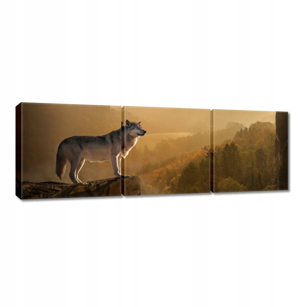 

Obrazy 120x40 Wilk Wilki Wolf