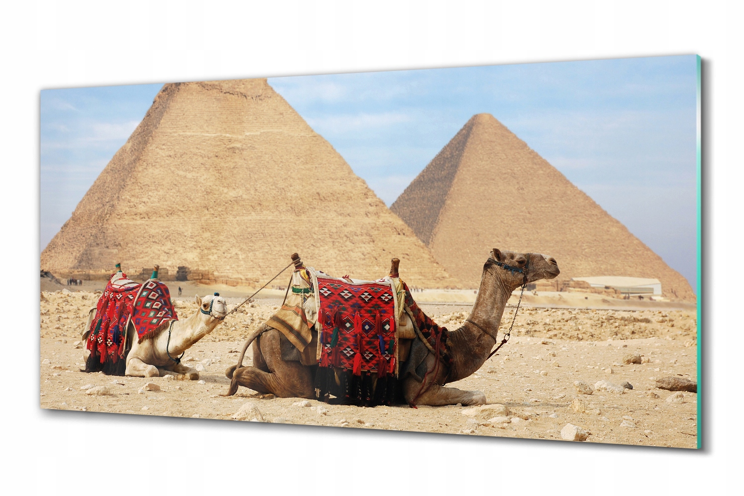 Sklenená fotoobrazová fotografia do spálne Camel pyramída 100x50