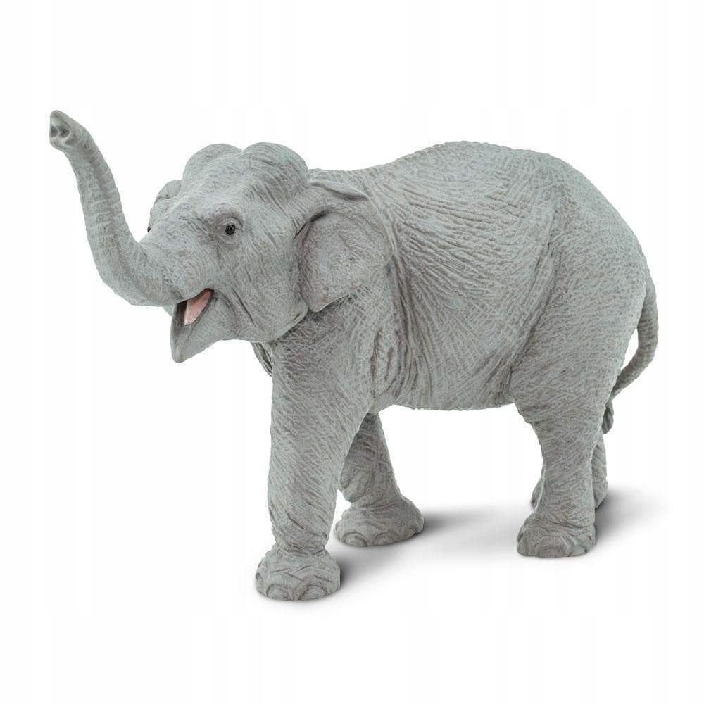 

Słoń Indyjski Asian Elephant Safari Ltd. 227529