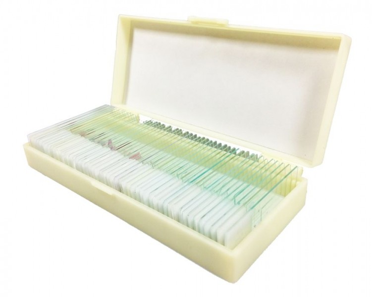 Preparaty mikroskopowe anatomia, botanika, zoologia 50 sztuk