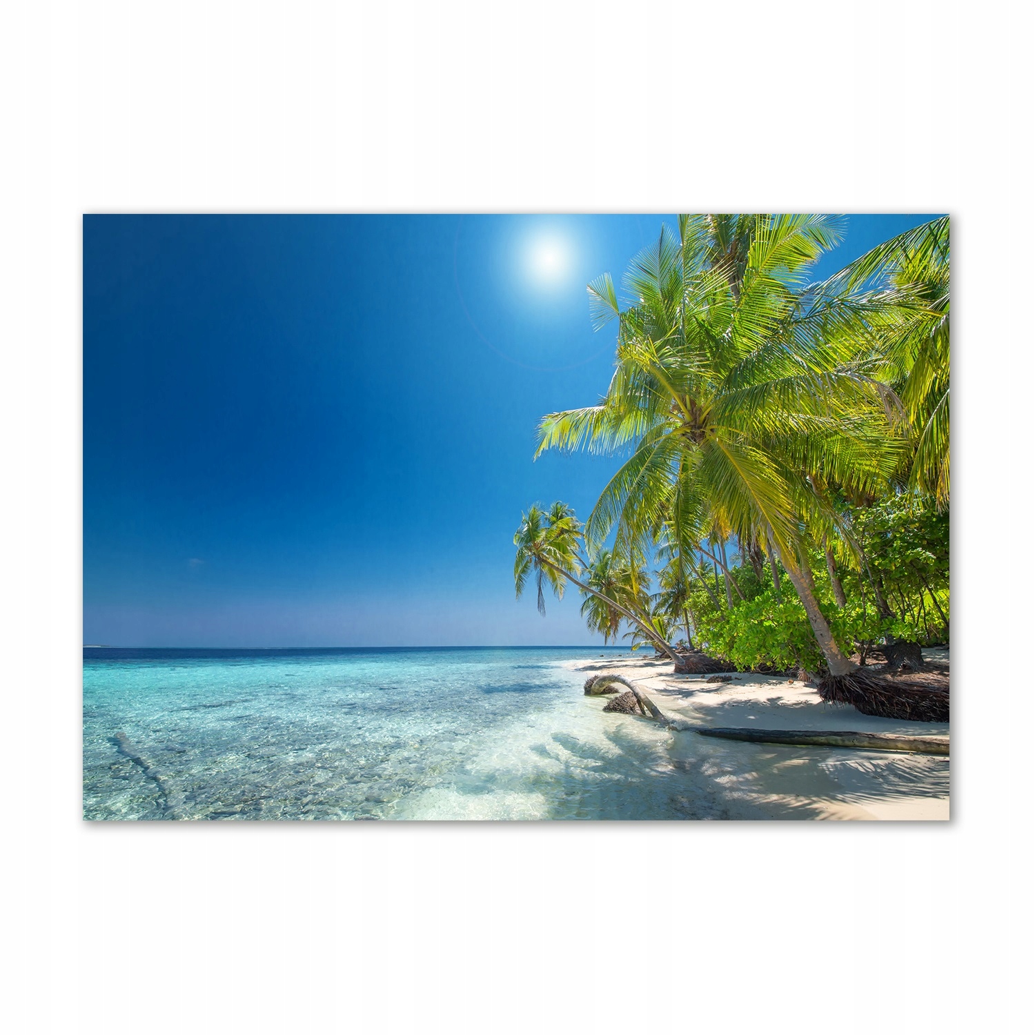 

Foto obraz szkło hartowane Malediwy plaża 100x70