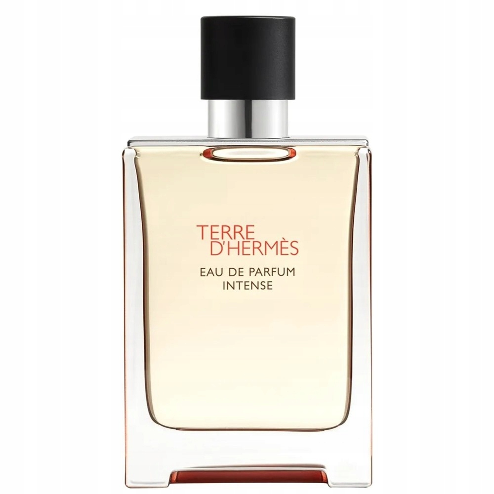 Hermès Terre d'Hermès Intense Edp 100ml Spráj