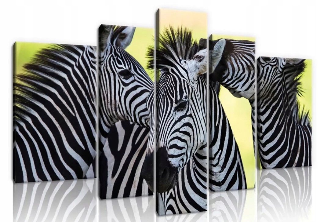 Obraz 170x100 Zebra modulárny čiernobiely príroda safari pruhy štýl