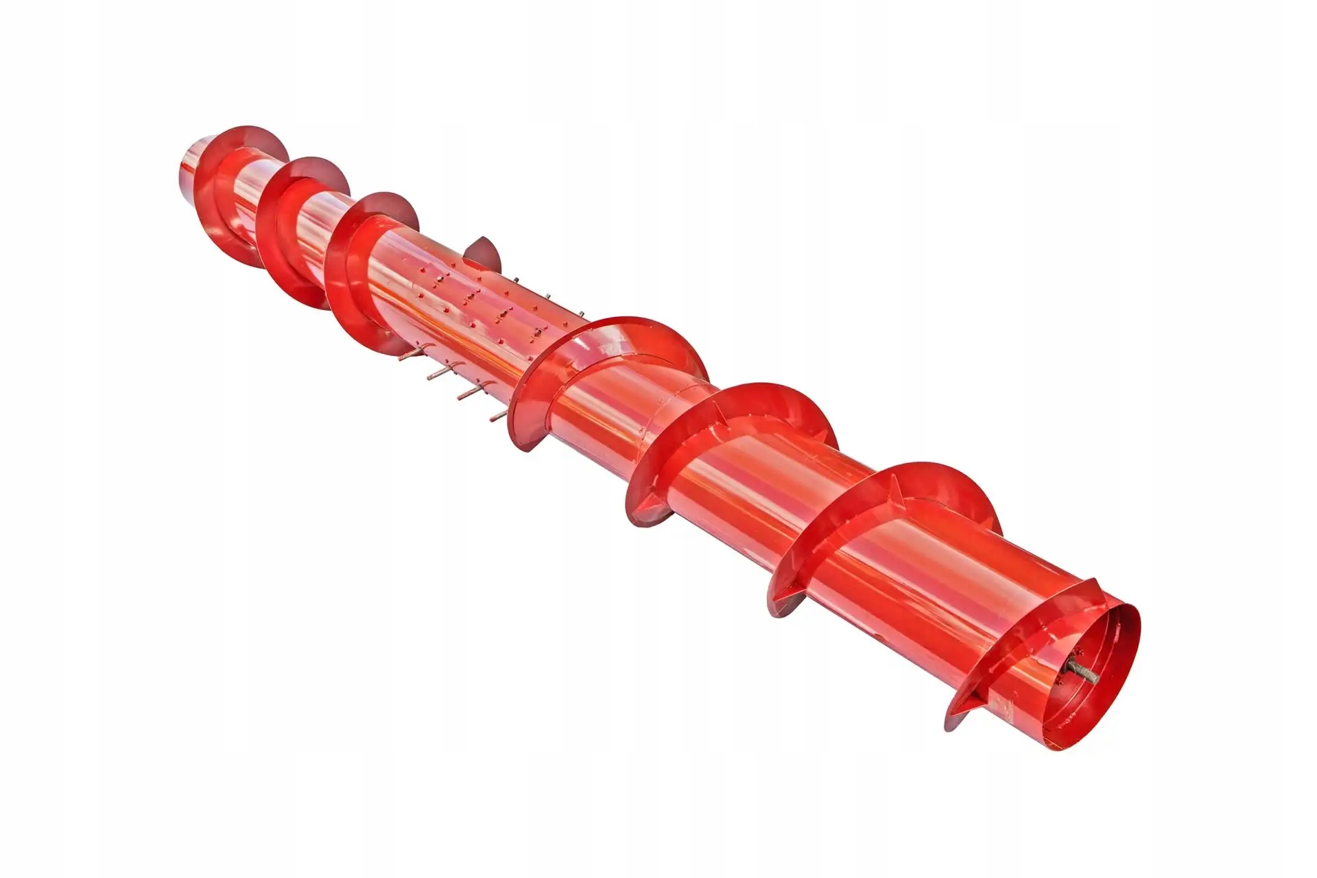 101410860 Ślimak hederu 5m