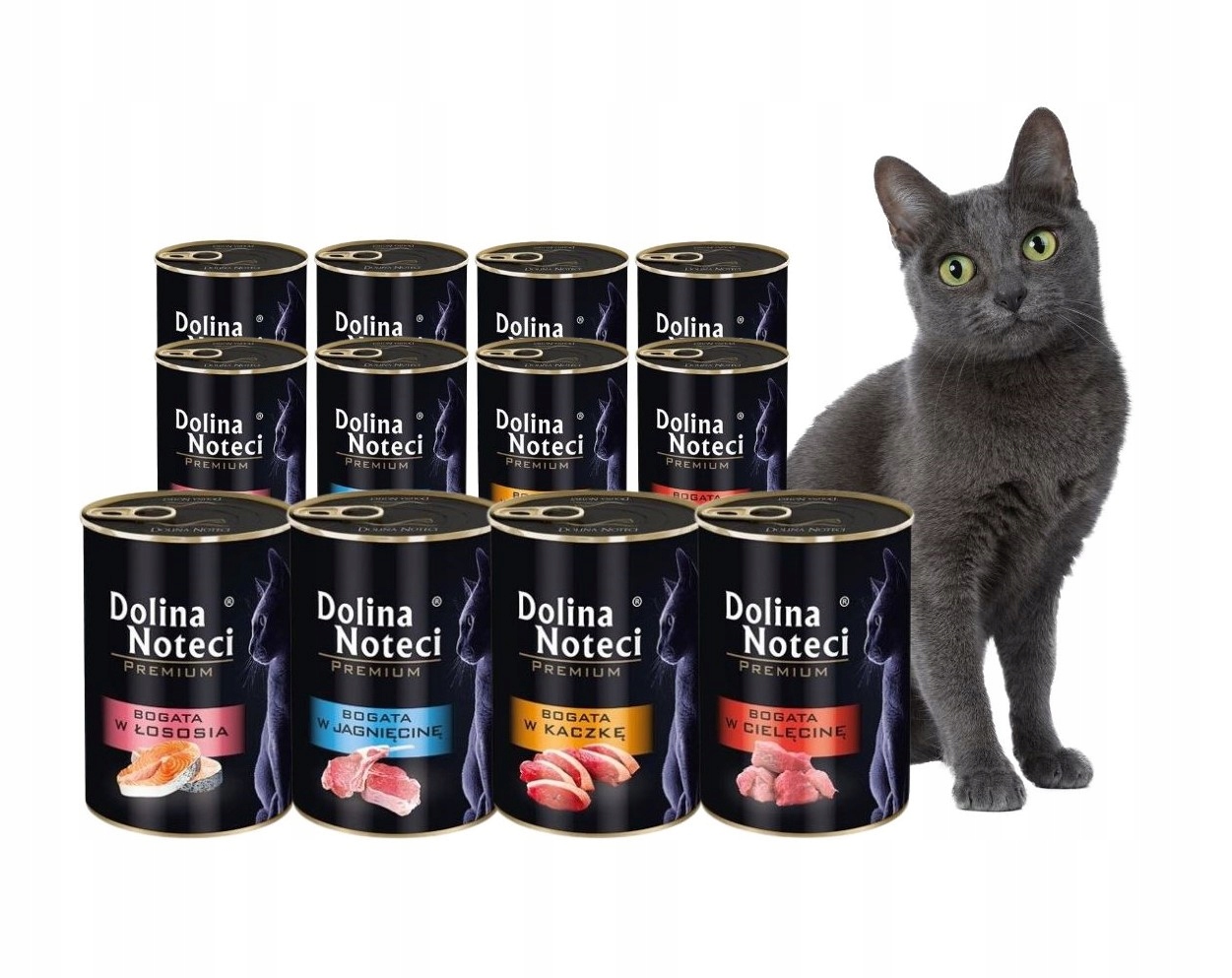 Dolina Noteci Premium Mokra karma dla kota MIX smaków 12x400g