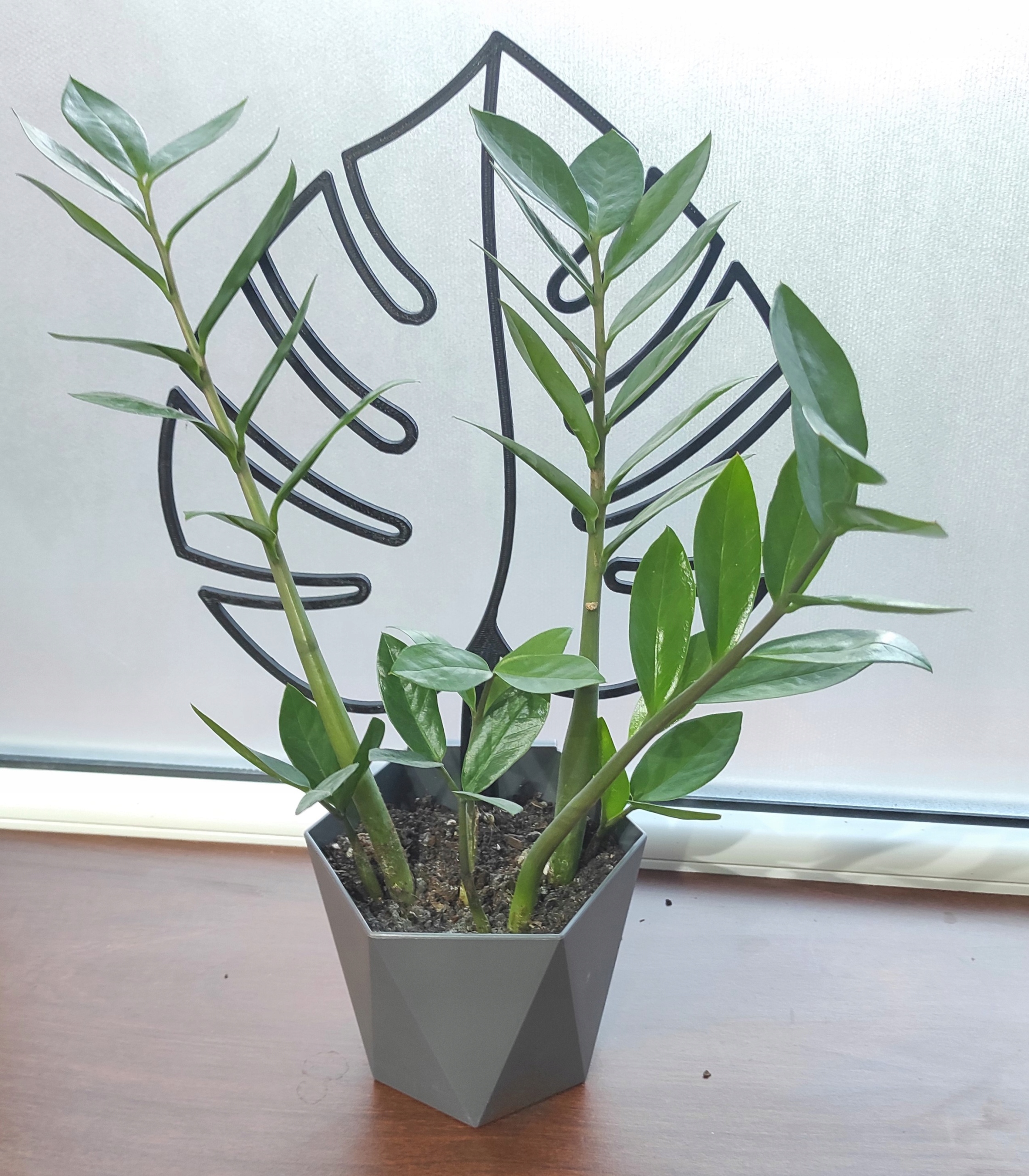 PODPÓRKA KWIATÓW ROŚLIN PERGOLA MONSTERA LIŚĆ 36cm Kod producenta mb11