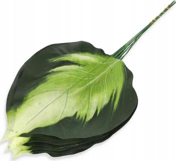 Liść HOSTA green/white SZTUCZNE LIŚCIE Marka MyFlowers