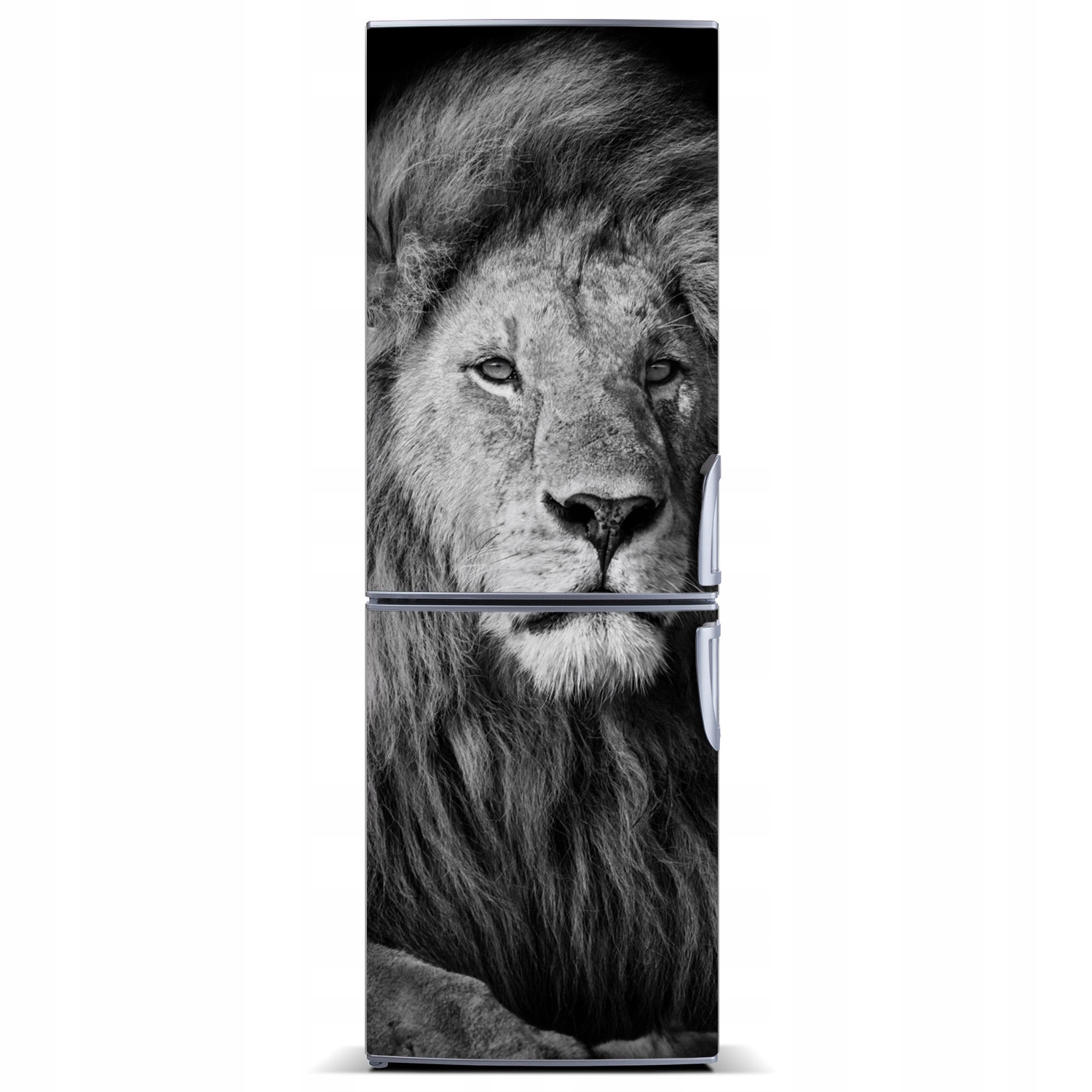 

Mata magnetyczna na lodówkę Portret lwa 60x180