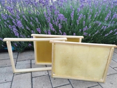 WĘZA pszczela WIELKOPOLSKA Łysoń 12 sztuk PLASTRÓW na jeden ul Kod producenta 8003_0.65_12P