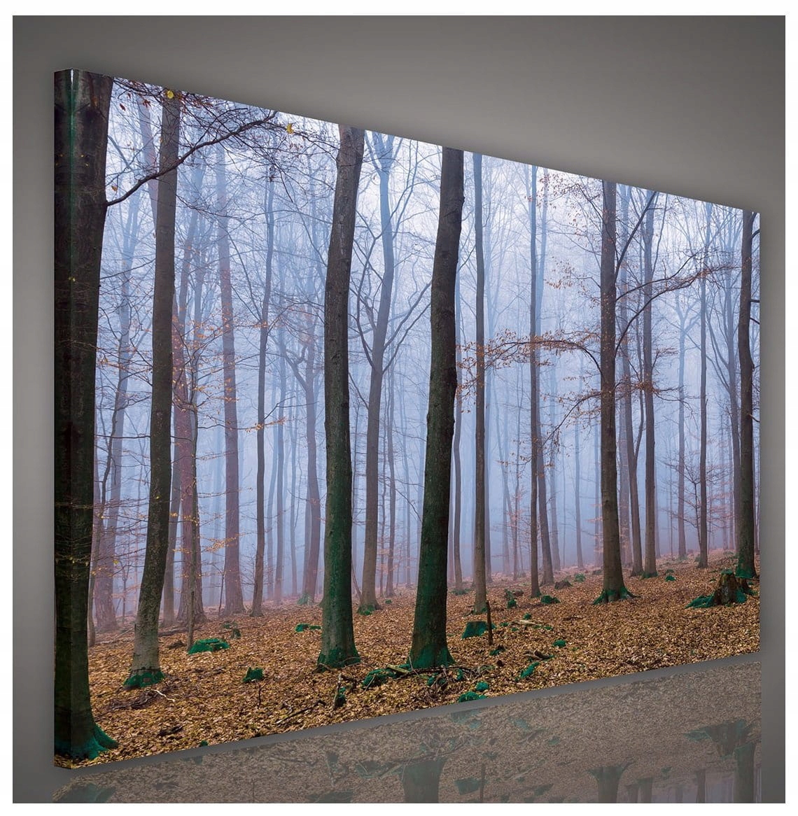 Obraz 100x75 Les mlha podzim zima stromy ticho klid příroda samota