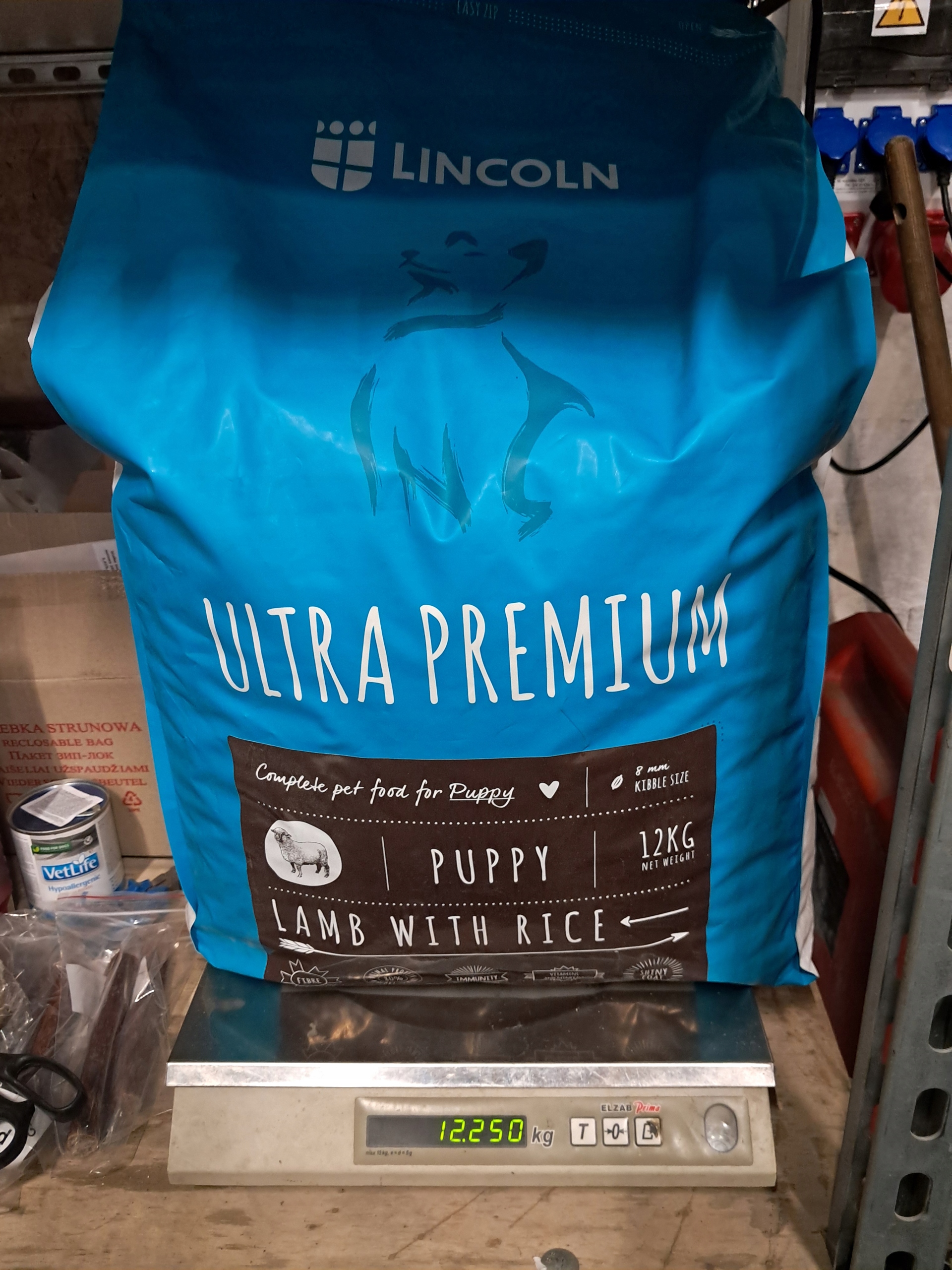 Lincoln Puppy Lamb and Rice 12kg z jagnięciną i ryżem Outlet