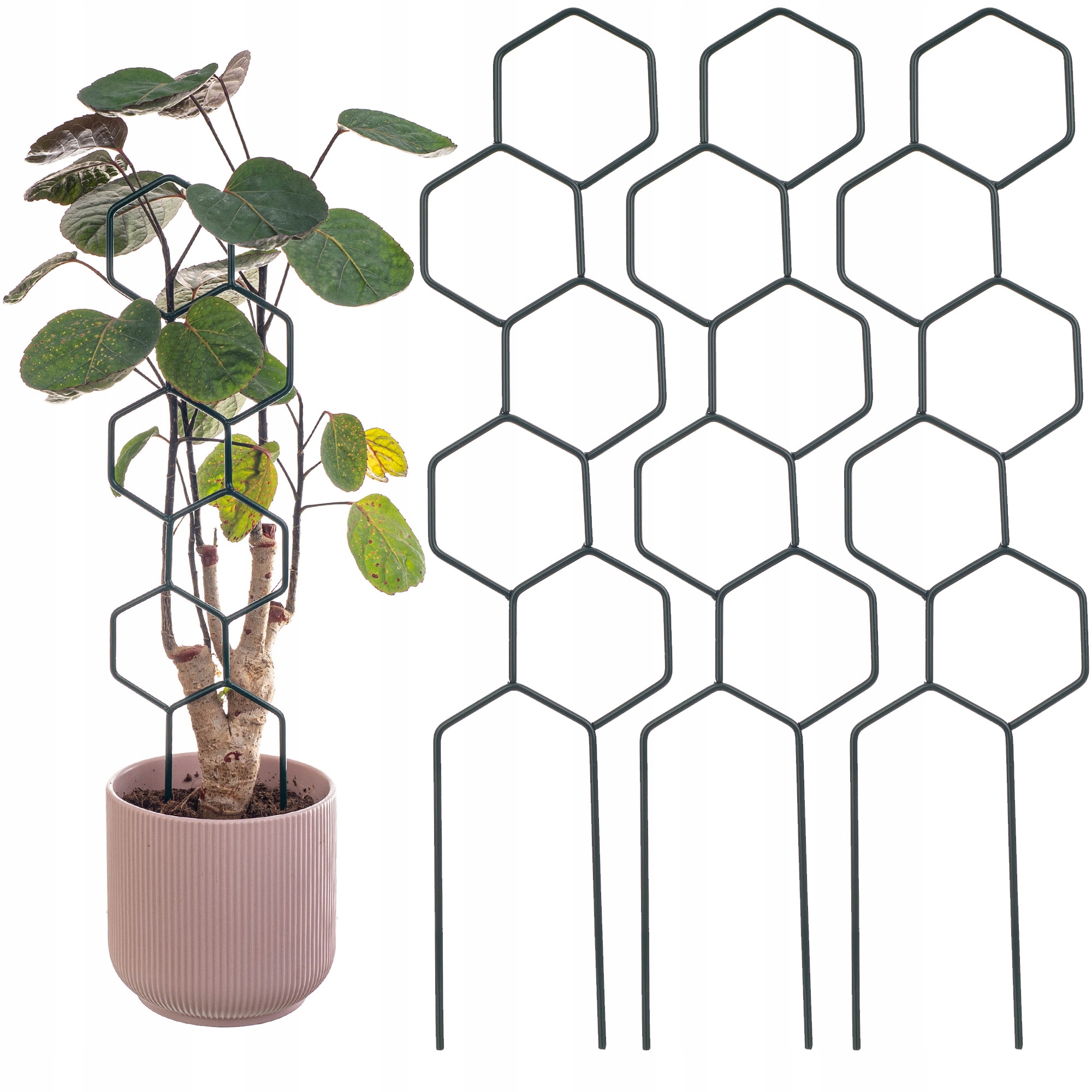 3x PODPORA DO ROŚLIN PODPÓRKA KWIATÓW DONICZKOWYCH METAL PODPÓRKI HEKSAGON