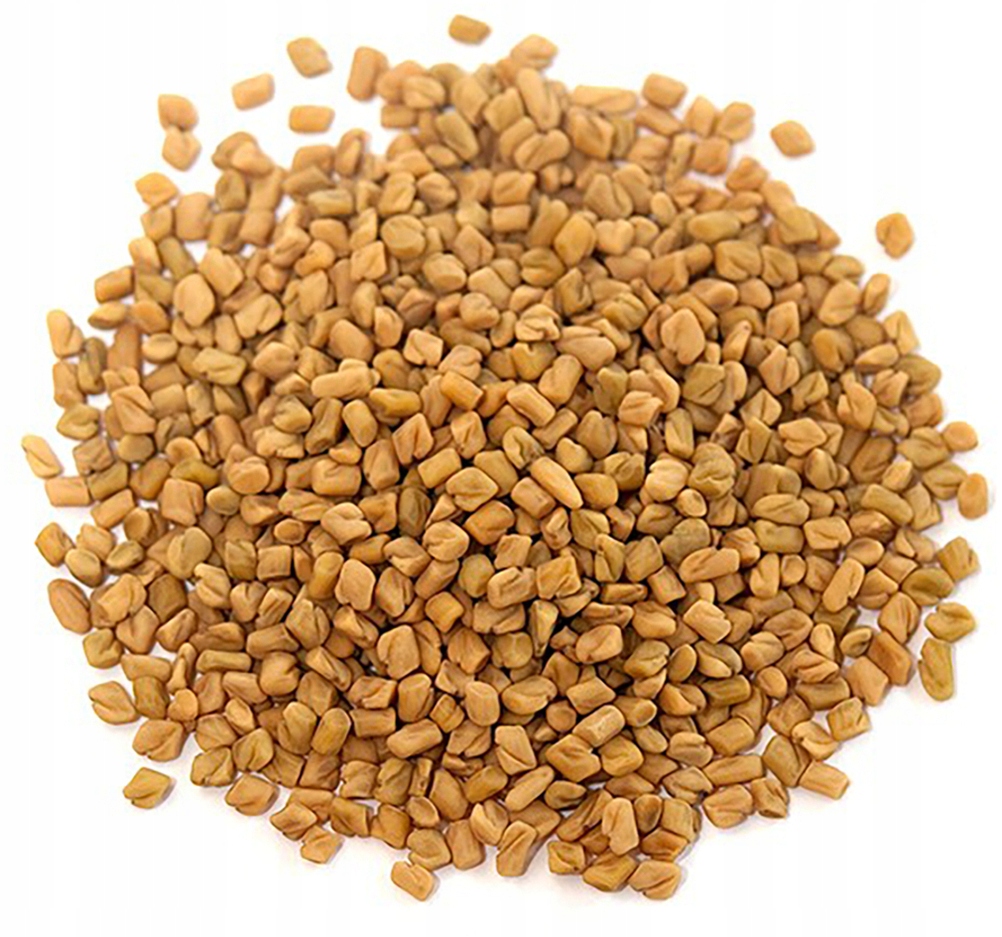 

Kozieradka nasiona 500g Warmińska Manufaktura