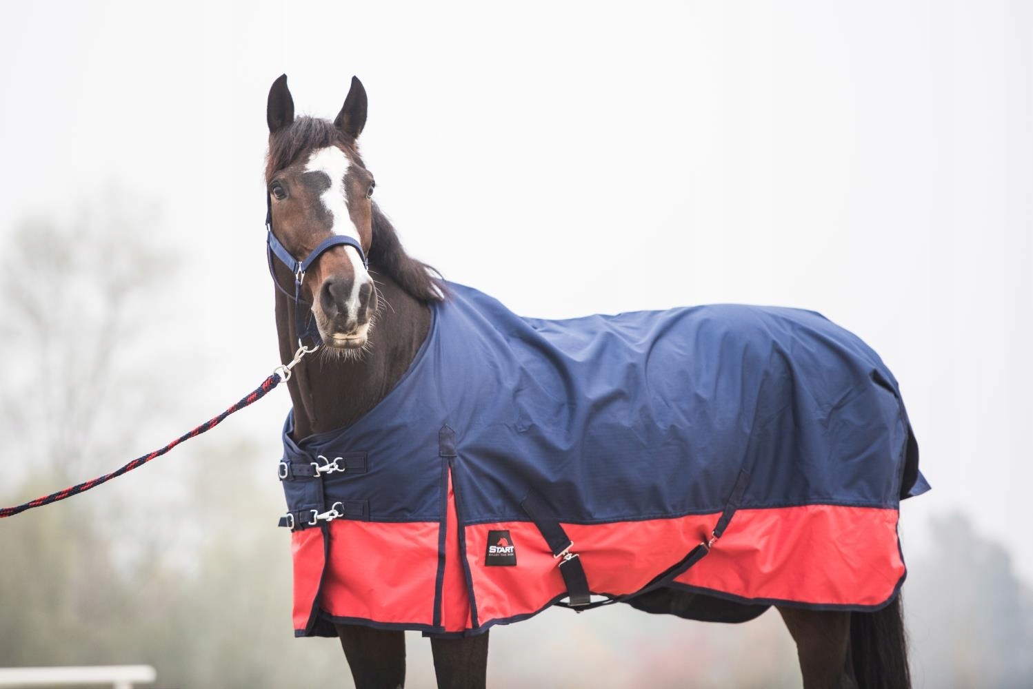DERKA PADOKOWA PRZECIWDESZCZOWA Z POLAREM DLA KONI KONIA 145 Stan opakowania oryginalne