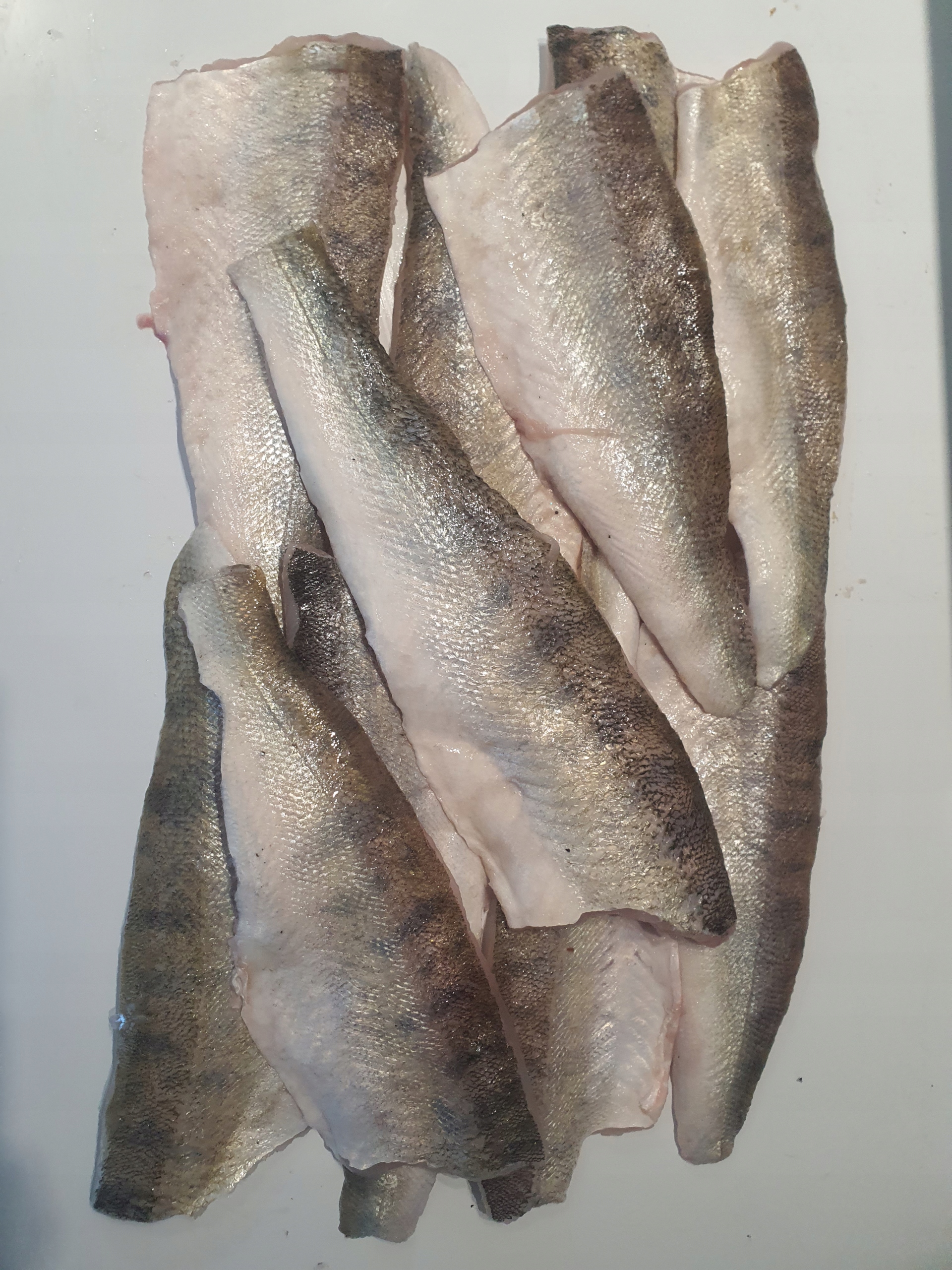 Sandáč filé, čerstvá ryba, čerstvý filé z candáta 1 kg