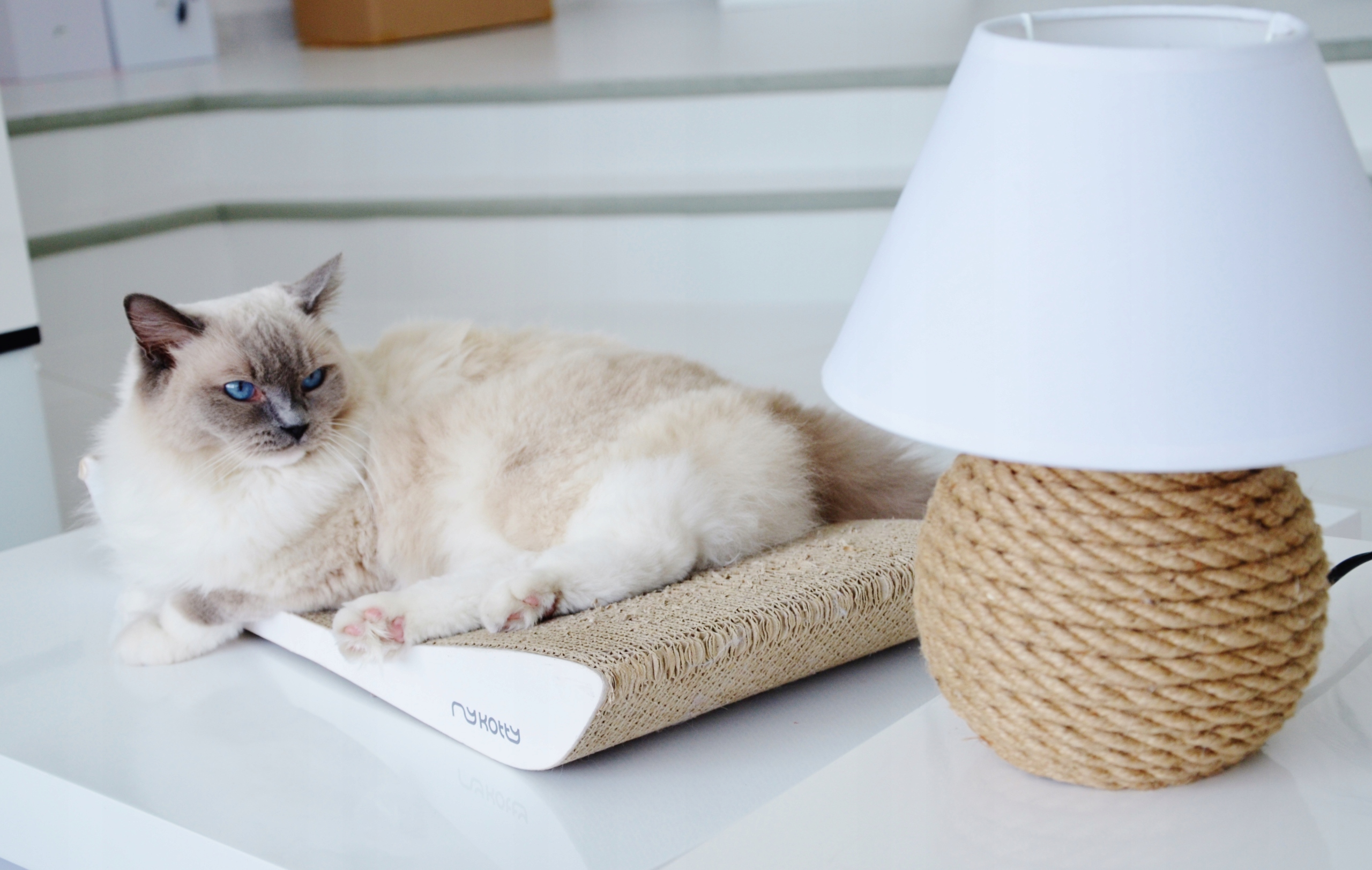 MINI Lampka biurkowa Boho pleciony sznurek juta Marka Korad