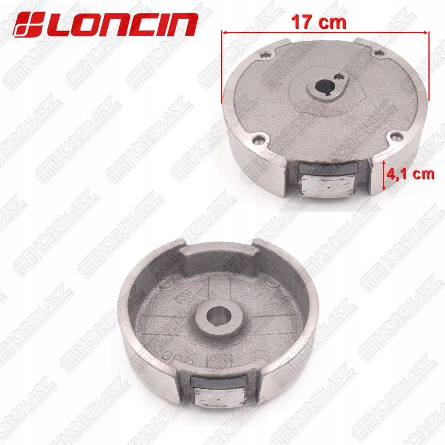 Koło Magnesowe LC200F, 270020097-T040 Hortmasz