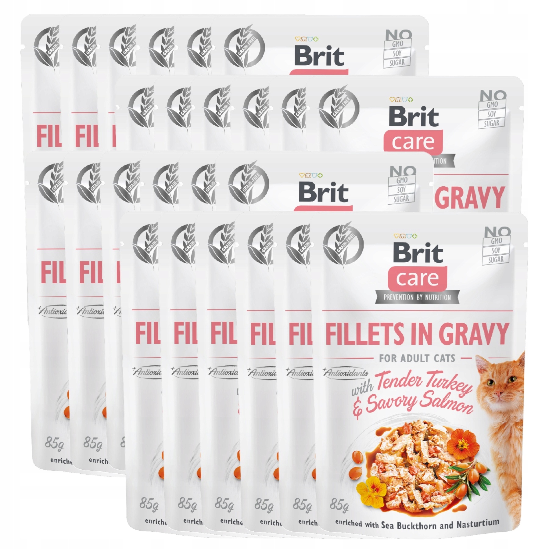 Levně Brit Care Cat Fillets Turkey&Salmon Krůta a Losos v omáčce Svařovací 24x85g
