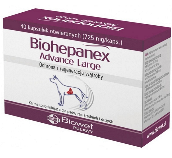 Biohepanex Advance Large 40 kaps.wspomagające funkcje wątroby