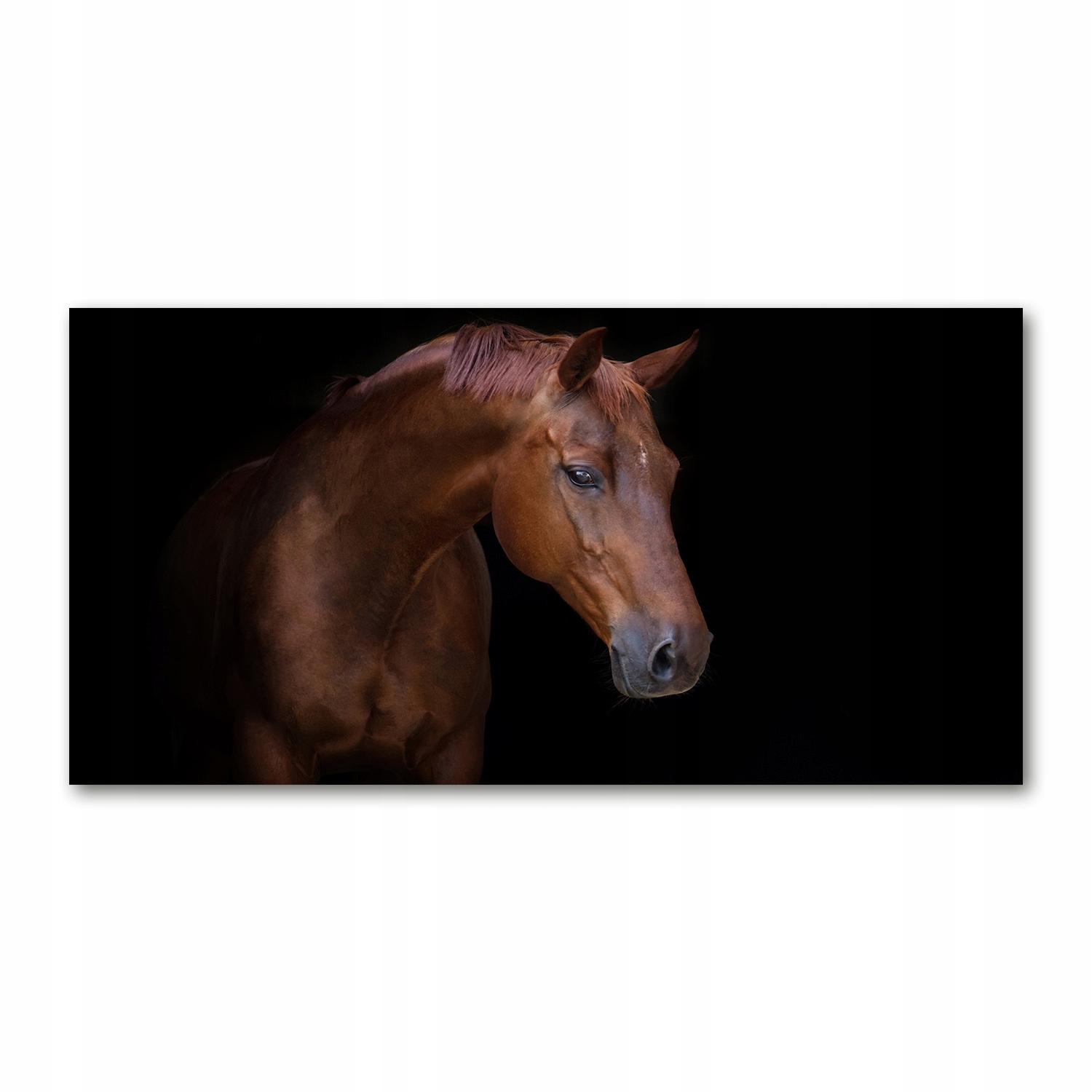 

Foto obraz na szkle akrylowym Brązowy koń 120X60cm