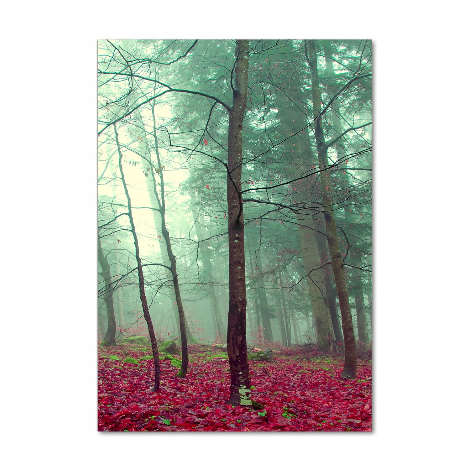 

Foto obraz szkło hartowane Las jesienią 70x100 cm