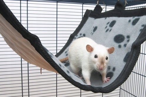 Levně Savic Houpací síť Relax Large pro fretky a další