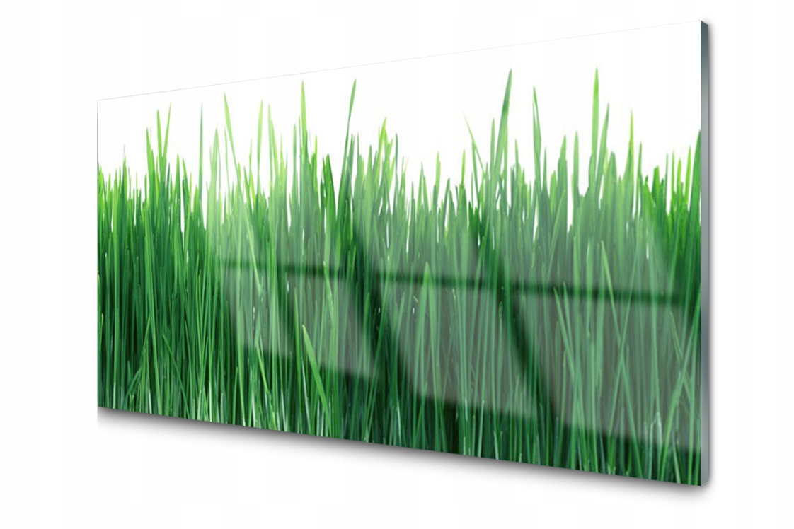 

Panel szklany Płytka Trawa Natura 120x60 + Klej