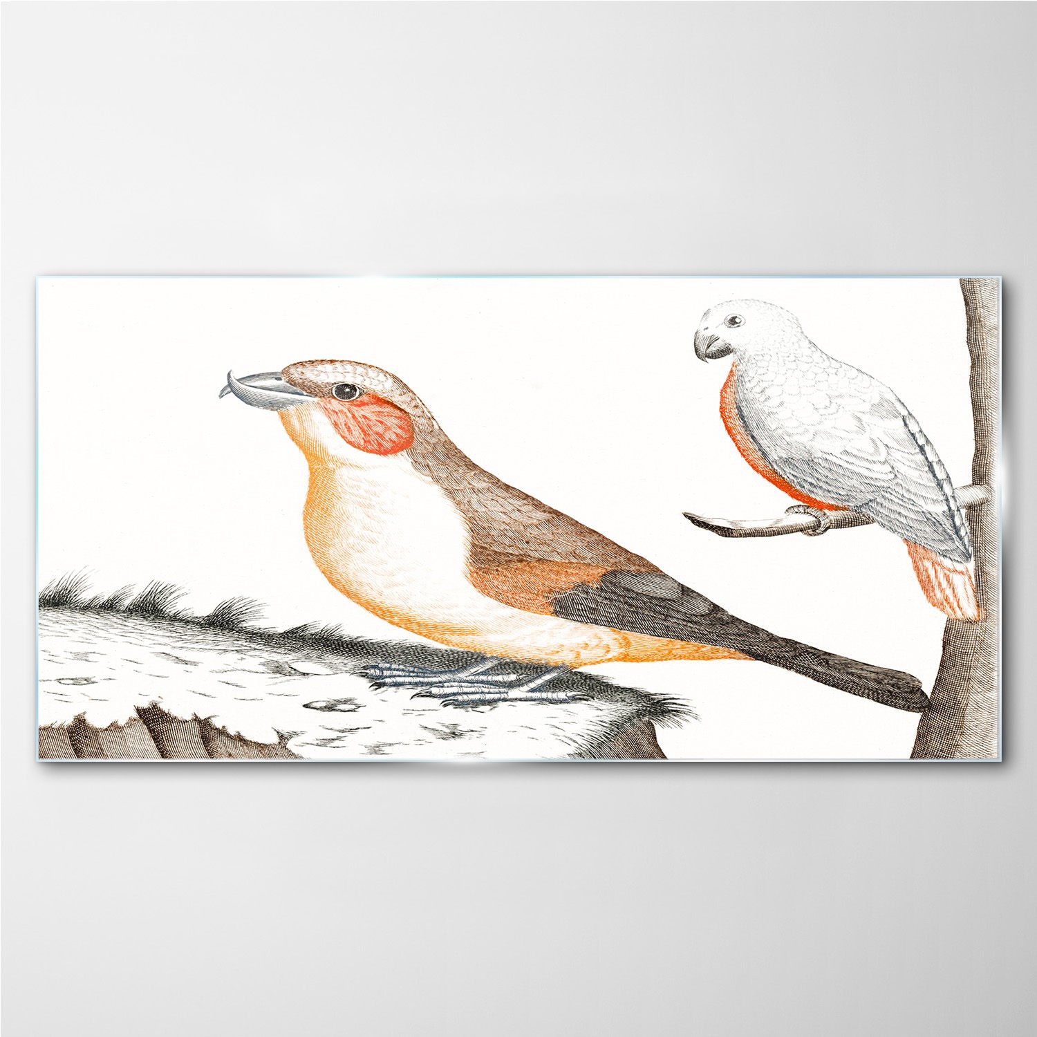 

Obraz na ścianę szklany Zwierzęta ptaki 140x70 cm